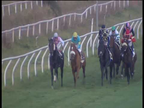 Galoppo 16/12/2018 - 4ª corsa