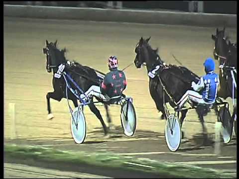 Trotto 13/12/2015 - 9° Pr. OIKOS FINALE