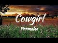 Parmalee Cowgirl Lyrics