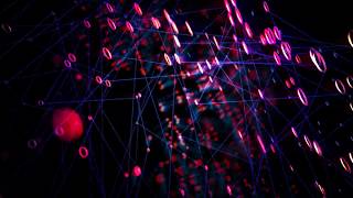 Hannah Peel - Archid Orange dwarf