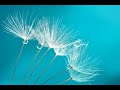 Thaikku Anbu Song From Jesus Garden Songs