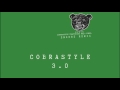 CØBRΔSTYLΣ 3.0 (Teddy Bears/Mad Cobra/Robyn ...