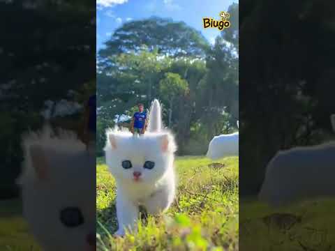 paramjit and beautiful 🐈