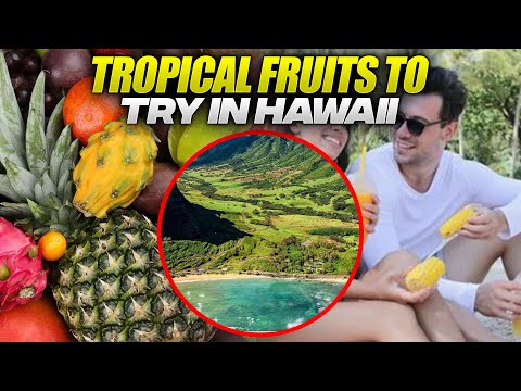 Tropical Fruits in Hawaii - Exotic Fruits You Won't Believe are Found in Hawaii!
