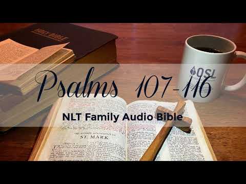 Psalms 107-116
