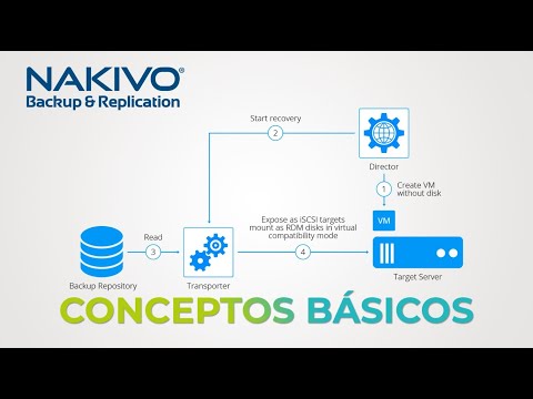 ¿Qué es el director de NAKIVO? - Conceptos básicos