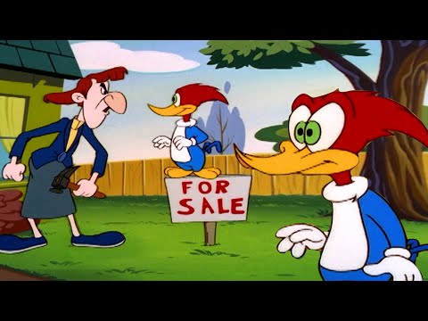 A Sra. Meany Ranheta Quer Vender a Casa Dela! | Pica-Pau em Português