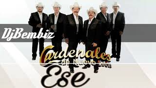 Los Cardenales De Nuevo Leon - Ese 》2018