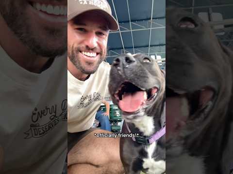 Hanging out with sweet dog who has been stuck in shelter for a year