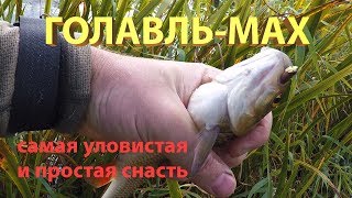 Ловля голавля на поплавочную удочку