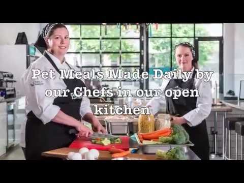 download lagu mp3 mp4 Sous Vide Dog Food Recipe, download lagu Sous Vide Dog Food Recipe gratis, unduh video klip Sous Vide Dog Food Recipe