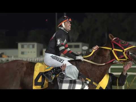 230610 c08 RIOBRAVO (BRZ)