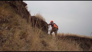 Pheasants Forever’s Rooster Road Trip Recap – 2017