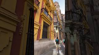 🇪🇸 Travelogue- Malaga Cathedral #spain #malaga #historical #cathedral