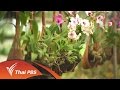 วิธี