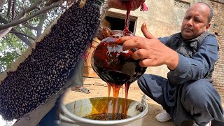 HONEY HUNTERS IN PAKISTAN | Wild HONEY 🍯 HUNTERS | HUNTING MAD HONEY