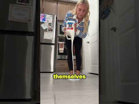 slime got on the carpet