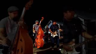 The Nelsons - Sugar Sugar ( The Cadillacs Cover )