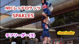 NECレッドロケッツ SPARKLES チアリーダー(3)