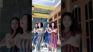 Download lagu Tiktok gunung gede pinter goyang semua mp3