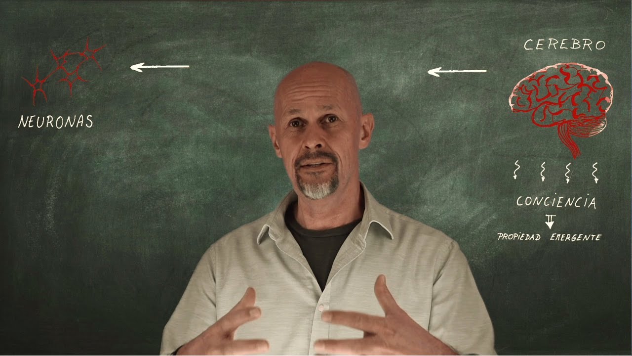 Propiedades Emergentes, Reduccionismo y Mecánica Cuántica - Entrelazamiento Cuántico