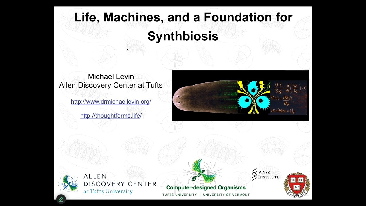 "Life, Machines, and a Foundation for Synthbiosis" by Michael Levin