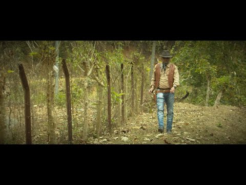 R.Lallunghnema_ "Nghilh bik suh Rinpui"