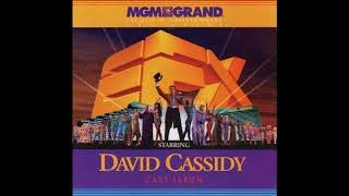 David Cassidy - EFX Soundtrack