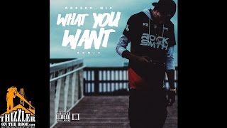 Dre808 ft. MIC - What You Want [Remix] [Thizzler.com]
