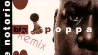 Notorious big -big poppa (remix)
