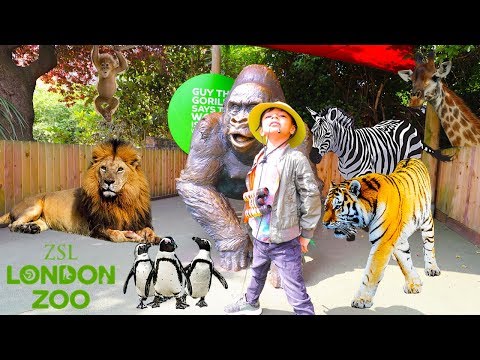 137 ZOO ANIMALS English ESL video lessons 137 ZOO ANIMALS English ESL video lessons