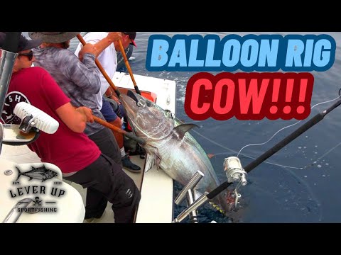 GIANT BLUEFIN on BALLOON RIG Flying Fish!! | + Step By Step HOW TO RIG | San Diego Tuna Fishing