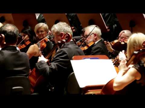 Libertango / Astor Piazzolla / Wiktoria Szubelak - guitarist