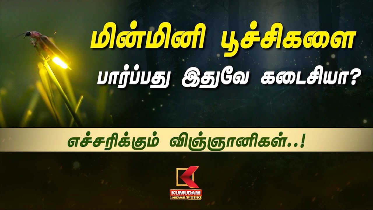 மின்மினி பூச்சிகளை பார்ப்பது இதுவே கடைசியா? எச்சரிக்கும் விஞ்ஞானிகள்..!