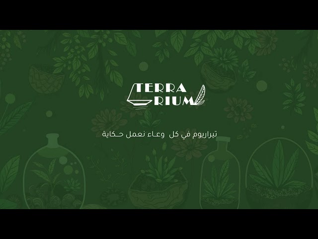 تيراريوم الغابة الإستوائية