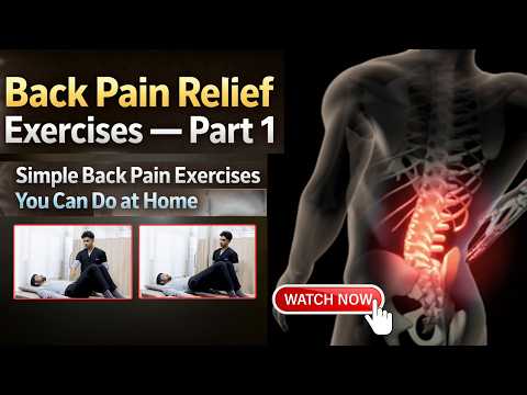 Back Pain Relief Exercises — Part 1 | Simple Back Pain Exercises You Can Do at Home