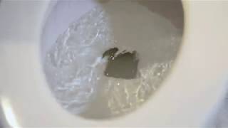 Common Plumbing Problems | Tips from Plumbing Experts in DC, MD, VA & PA | Len the Plumber