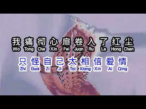 田娥 《 你入了我的心动了我的情 》 ni ru le wo de xin dong le wo de qing