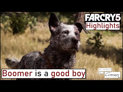Boomer is a good boy | Far Cry 5 Highlights