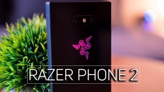 Razer Phone 2 Review: Going Against the Grain