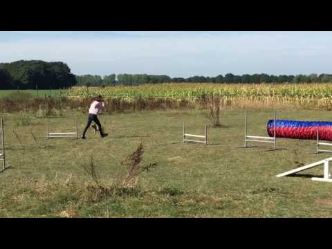 Hondensport Hondenschool Kersten