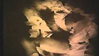 PLASTICOST "canzone dada"