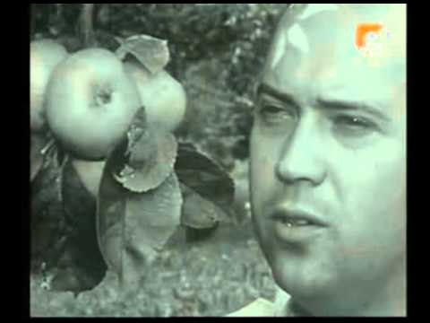 Rafko Irgolič - To je moj dragi dom