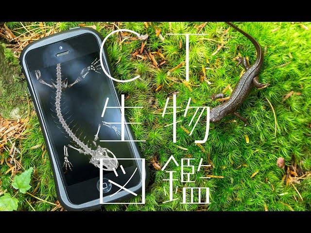 CT生物図鑑