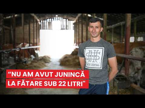 Ferma Uț: de la 2 la 80 de vaci și o producție de 22 litri/zi