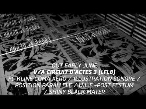 Various Circuit d'Actes (3) LP - Teaser (2013 - La Forme Lente - LFL8)