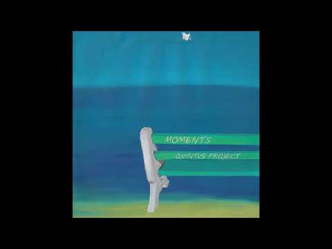 Quintus Project - Night-Flight