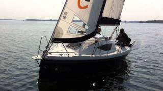 Maxus 21