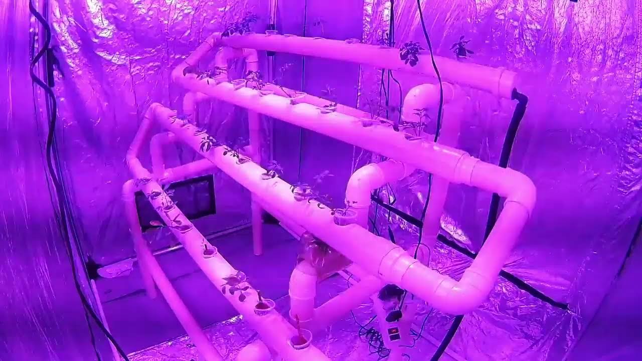 Hortas automatizadas iluminadas com LED.