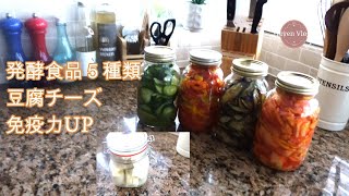 発酵食品＋豆腐チーズI世界各国のお野菜を使用I発酵野菜で菌トレ継続の日々